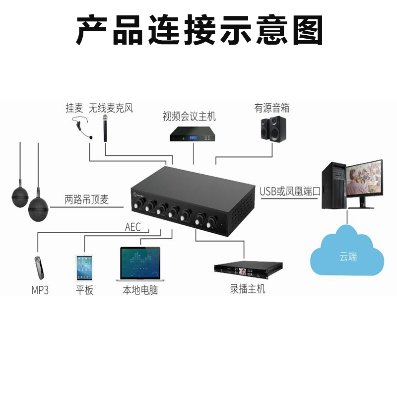 同三維T1002W球型雙吊麥/無(wú)線手持麥/掛麥